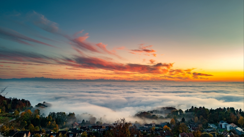 家常美食制作技巧分享